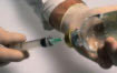 Un vaccin contre le Ross River Virus ?